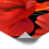 Poppy Poster (Ecke)
