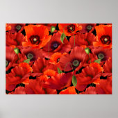 Poppy Poster (Vorne)