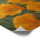 Poppy Poster (Ecke)