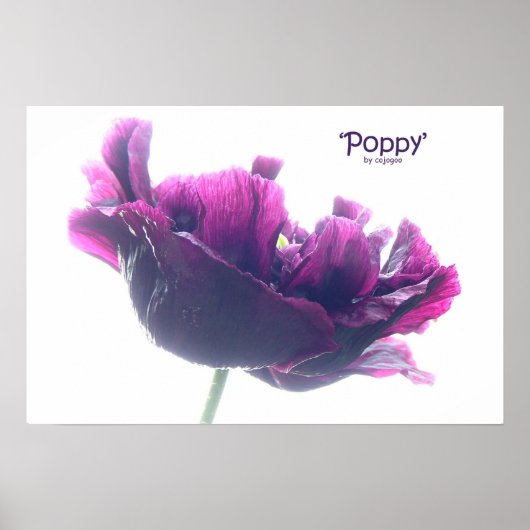 Poppy Poster (Vorne)