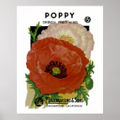 Poppy Poster (Vorne)