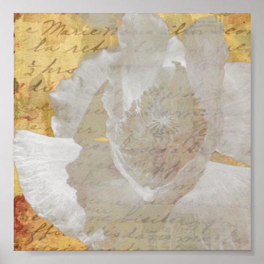 Poppy Poster (Vorne)