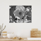 Poppy Poster (Küche)