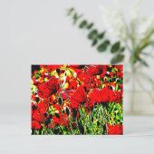 Poppy Postkarte (Stehend Vorderseite)