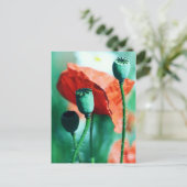 Poppy Postkarte (Stehend Vorderseite)