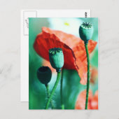 Poppy Postkarte (Vorne/Hinten)