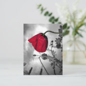 Poppy Postkarte (Stehend Vorderseite)