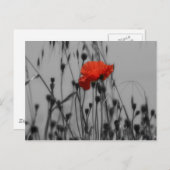 Poppy Postkarte (Vorne/Hinten)