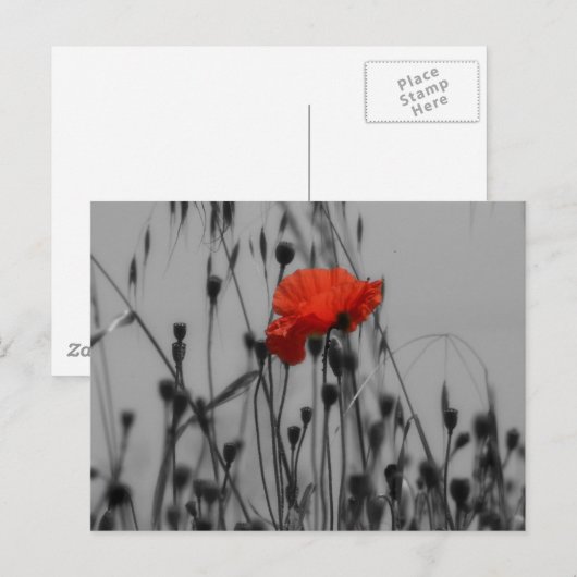Poppy Postkarte (Vorne/Hinten)
