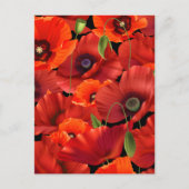 Poppy Postkarte (Vorderseite)