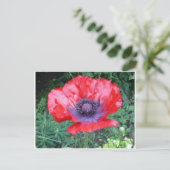 Poppy Postkarte (Stehend Vorderseite)