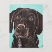 Poppy Postkarte (Vorderseite)