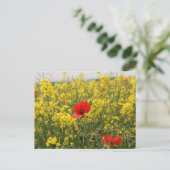 Poppy Postkarte (Stehend Vorderseite)