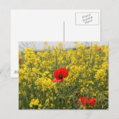 Poppy Postkarte (Vorne/Hinten)