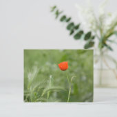 Poppy Postkarte (Stehend Vorderseite)