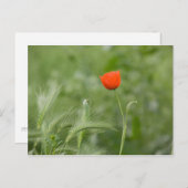Poppy Postkarte (Vorne/Hinten)