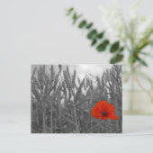 Poppy Postkarte (Stehend Vorderseite)