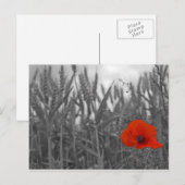 Poppy Postkarte (Vorne/Hinten)
