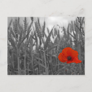 Poppy Postkarte