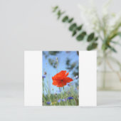 Poppy Postkarte (Stehend Vorderseite)