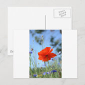 Poppy Postkarte (Vorne/Hinten)