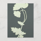Poppy Postkarte (Vorderseite)