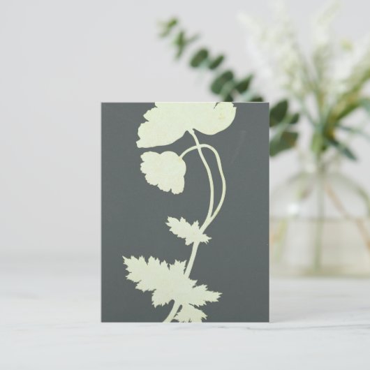 Poppy Postkarte (Stehend Vorderseite)