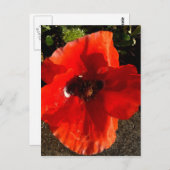 Poppy Postkarte (Vorne/Hinten)