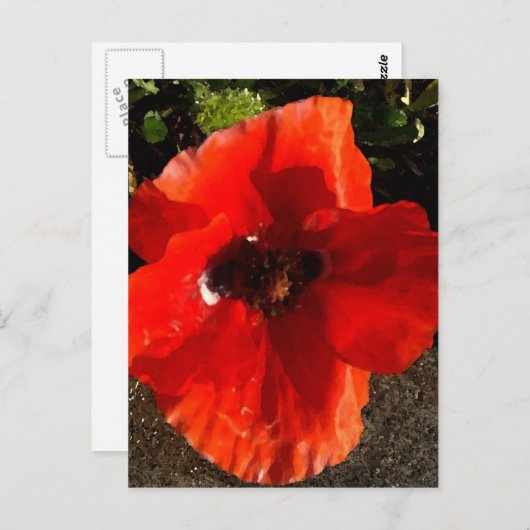 Poppy Postkarte (Vorne/Hinten)