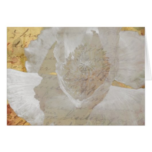 Poppy Sepia-Jeden Anlaß Blank Inside Gruß (Vorderseite (Horizontal))