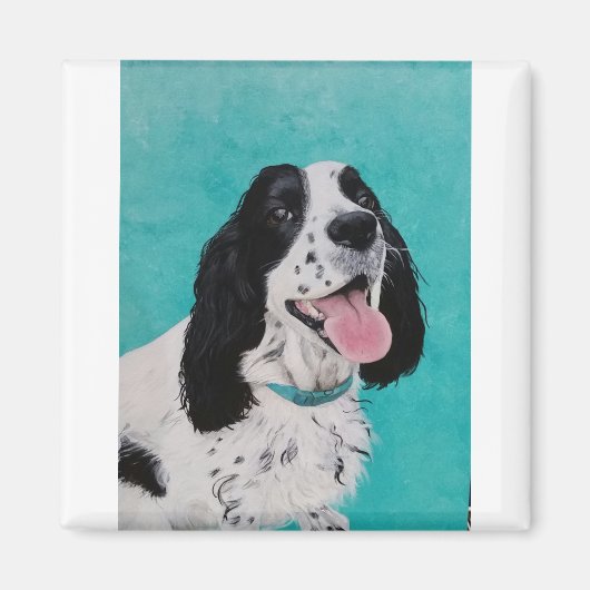 Poppy the Springer Magnet (Vorne)