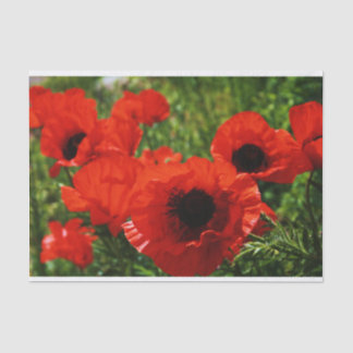Poppy Tissue Paper Seidenpapier