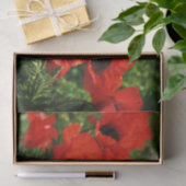 Poppy Tissue Paper Seidenpapier (Geschenk)