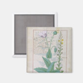 Poppy und Figwort Magnet (Vorderseite/Rückseite)