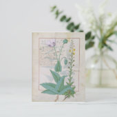 Poppy und Figwort Postkarte (Stehend Vorderseite)