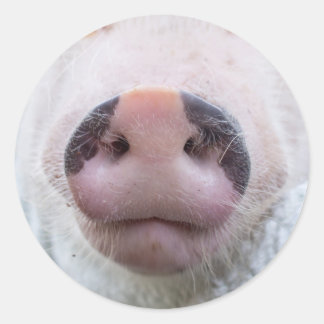 Poppy und Podrick Sticker