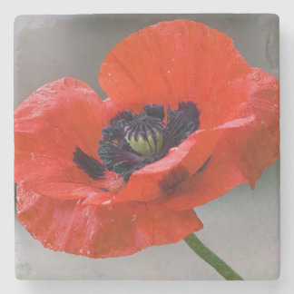 Poppy-Untersetzer Steinuntersetzer