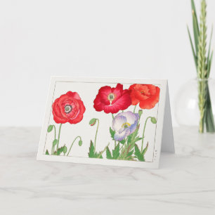 Poppy von Tanigami Konan Karte