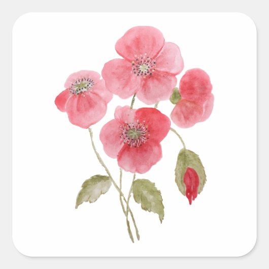 Poppy Watercolor-Blume Quadratischer Aufkleber (Vorderseite)