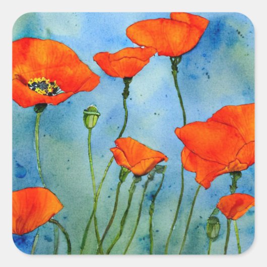 Poppy Watercolor Quadratischer Aufkleber (Vorderseite)