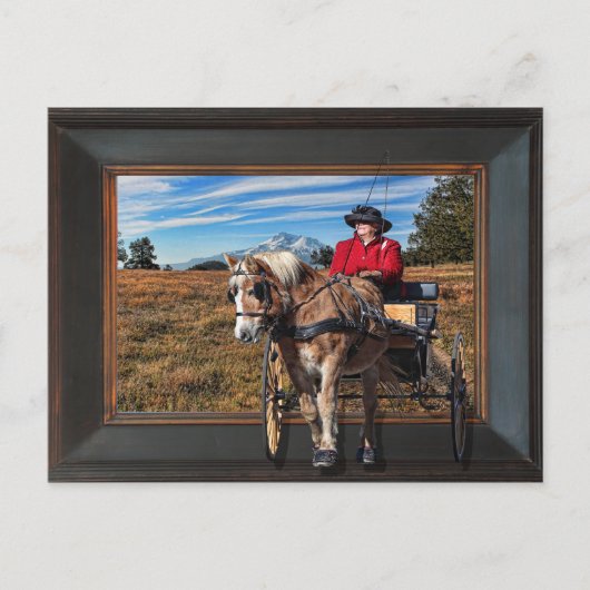 POPPYCOCK POSTKARTE (Vorderseite)