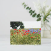 Poppyfield Postkarte (Stehend Vorderseite)