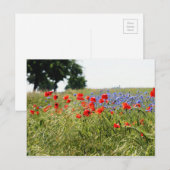 Poppyfield Postkarte (Vorne/Hinten)