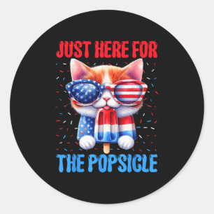Popsikel 4. Juli Cat USA Flag Patriot Runder Aufkleber