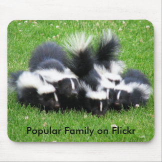 Populäre Flickr Familie Mousepad