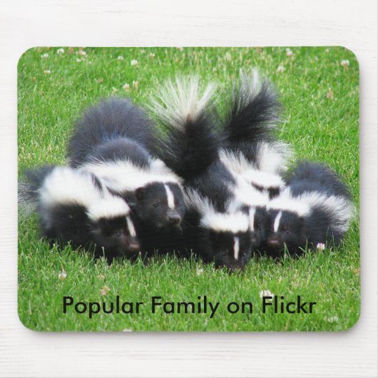 Populäre Flickr Familie Mousepad (Vorne)