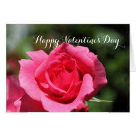 Populäre, perfekt rosa Rosa Blume glücklich Valent