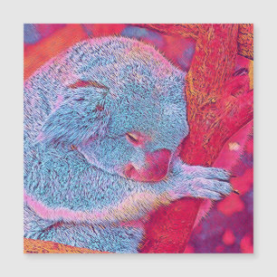 populäre Tiere - Koala Magnetkarte