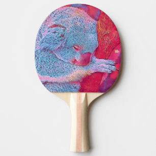 populäre Tiere - Koala Tischtennis Schläger
