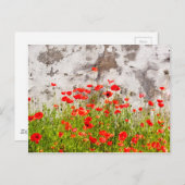 Popupien Postkarte (Vorne/Hinten)